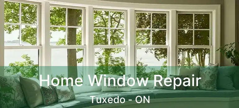  Home Window Repair Tuxedo - ON
