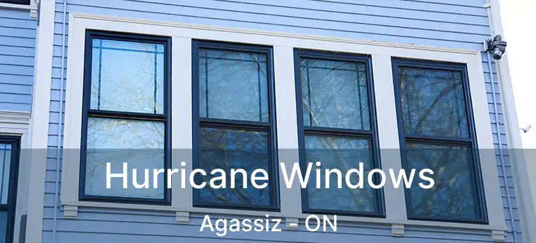  Hurricane Windows Agassiz - ON