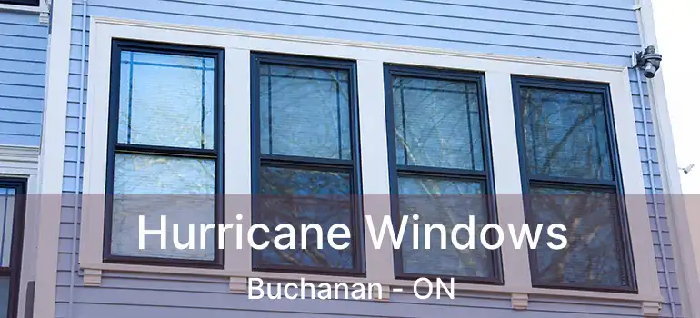  Hurricane Windows Buchanan - ON