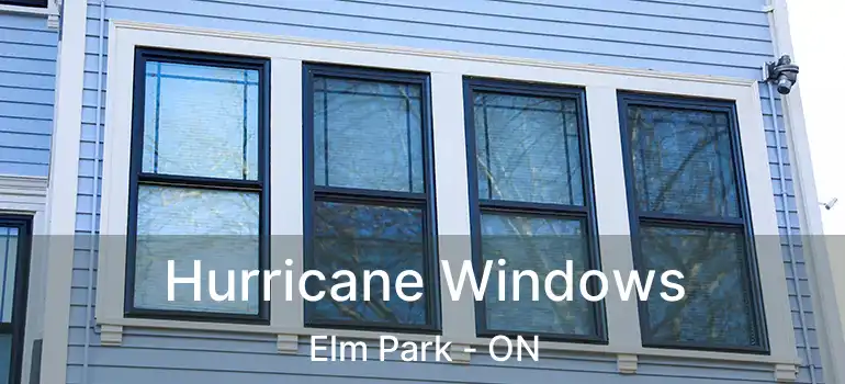  Hurricane Windows Elm Park - ON