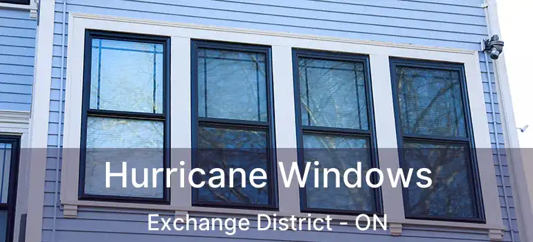  Hurricane Windows Exchange District - ON