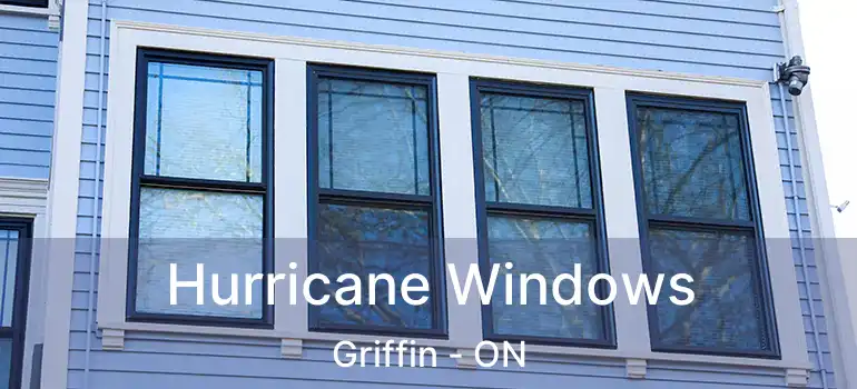  Hurricane Windows Griffin - ON