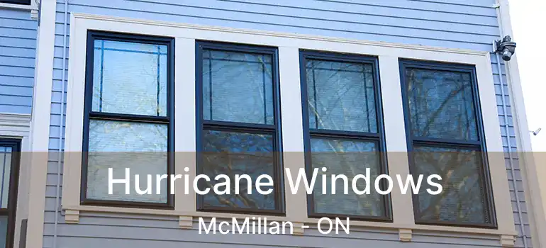  Hurricane Windows McMillan - ON