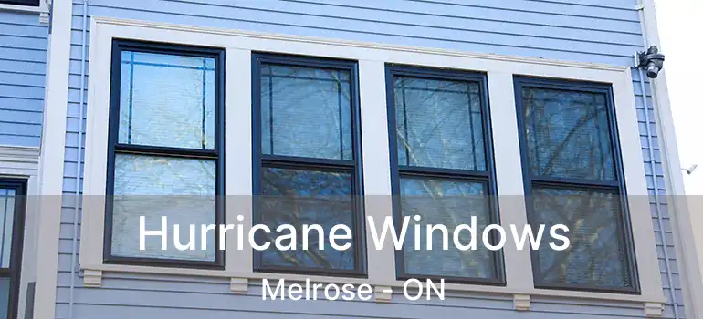  Hurricane Windows Melrose - ON