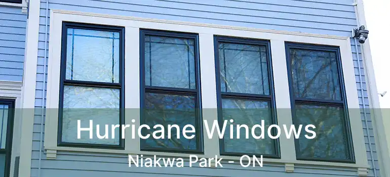  Hurricane Windows Niakwa Park - ON