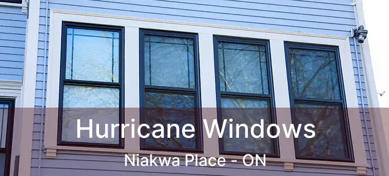  Hurricane Windows Niakwa Place - ON