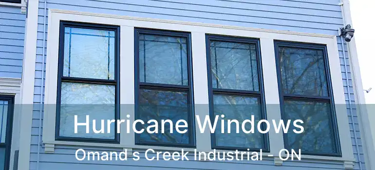  Hurricane Windows Omand s Creek Industrial - ON