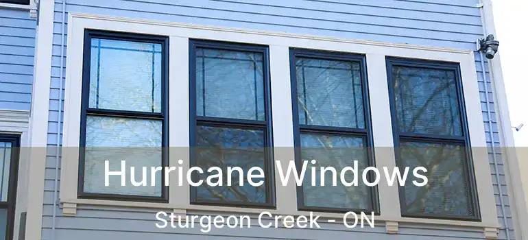  Hurricane Windows Sturgeon Creek - ON