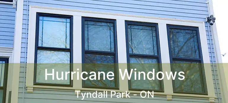  Hurricane Windows Tyndall Park - ON