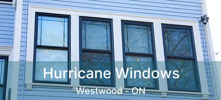  Hurricane Windows Westwood - ON