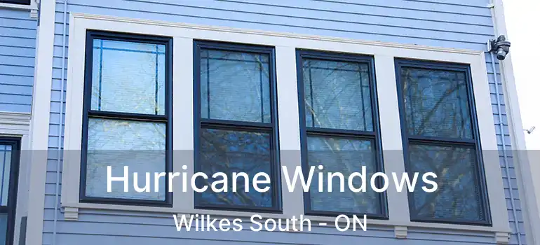  Hurricane Windows Wilkes South - ON