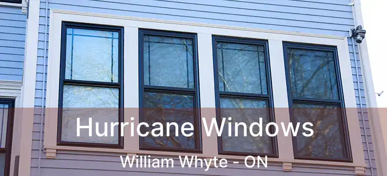  Hurricane Windows William Whyte - ON