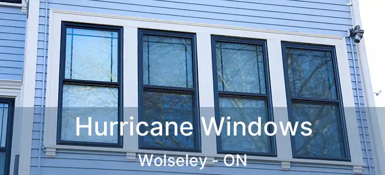 Hurricane Windows Wolseley - ON