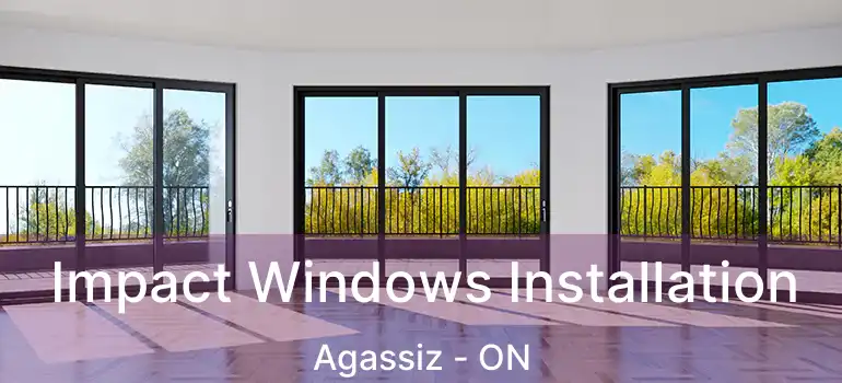  Impact Windows Installation Agassiz - ON