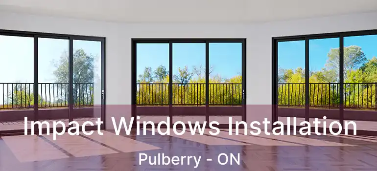  Impact Windows Installation Pulberry - ON