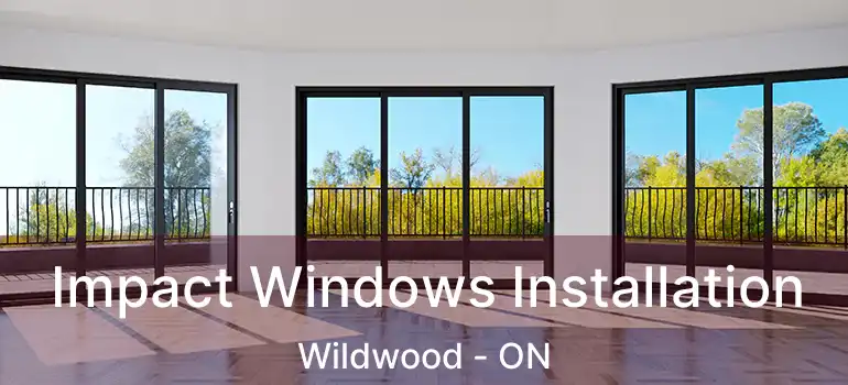  Impact Windows Installation Wildwood - ON