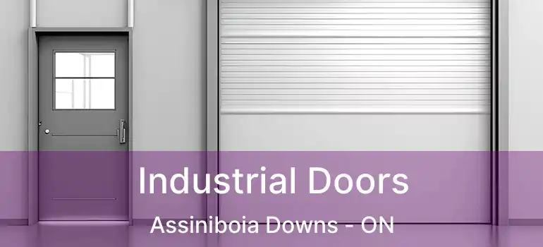  Industrial Doors Assiniboia Downs - ON