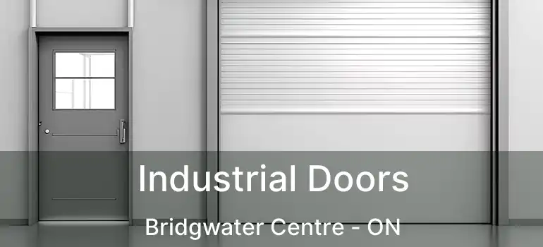  Industrial Doors Bridgwater Centre - ON