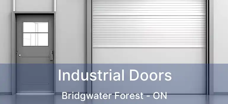  Industrial Doors Bridgwater Forest - ON
