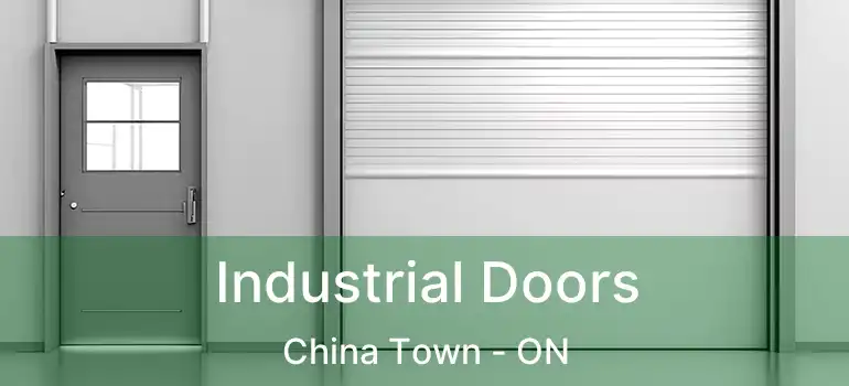  Industrial Doors China Town - ON