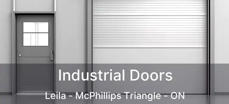  Industrial Doors Leila - McPhillips Triangle - ON