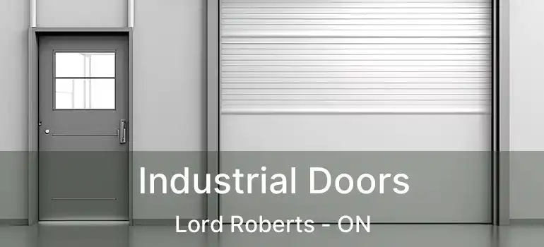  Industrial Doors Lord Roberts - ON
