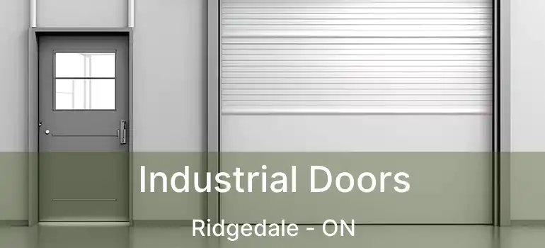 Industrial Doors Ridgedale - ON