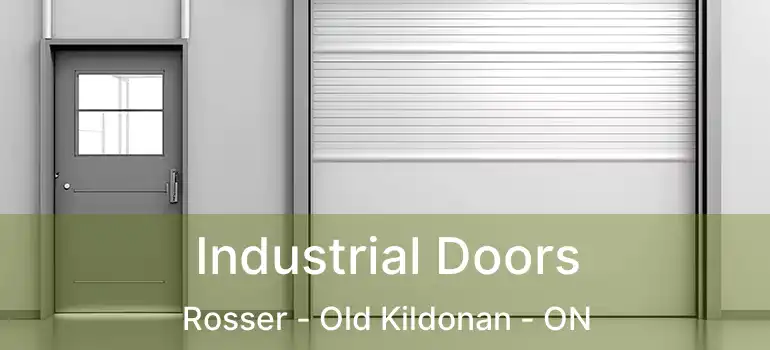  Industrial Doors Rosser - Old Kildonan - ON