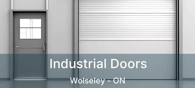  Industrial Doors Wolseley - ON