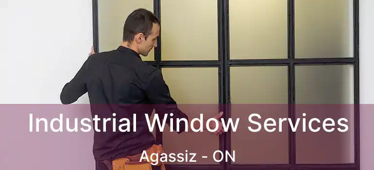  Industrial Window Services Agassiz - ON