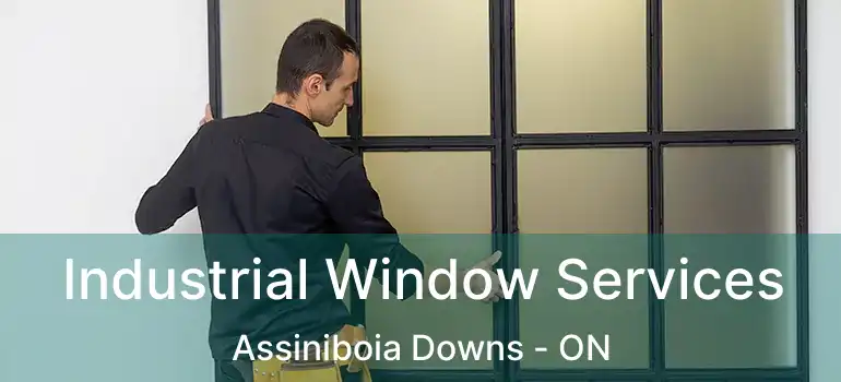  Industrial Window Services Assiniboia Downs - ON
