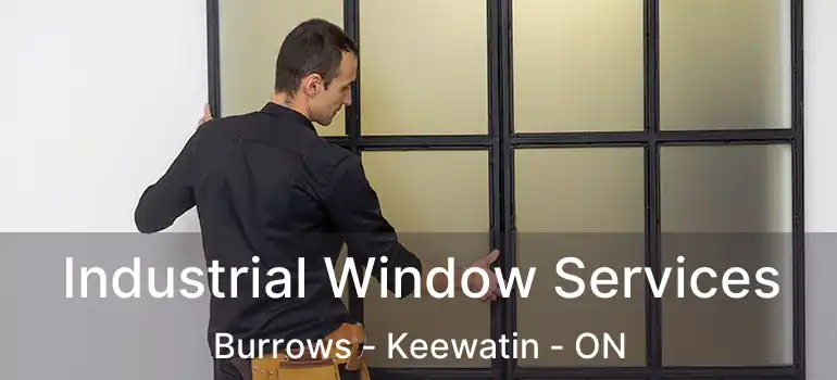  Industrial Window Services Burrows - Keewatin - ON