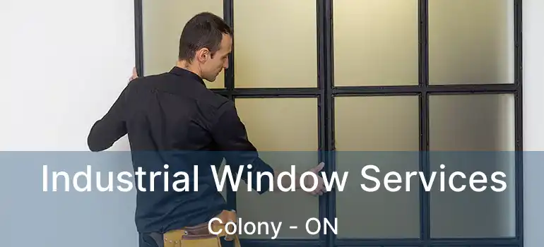  Industrial Window Services Colony - ON