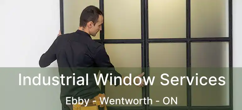  Industrial Window Services Ebby - Wentworth - ON