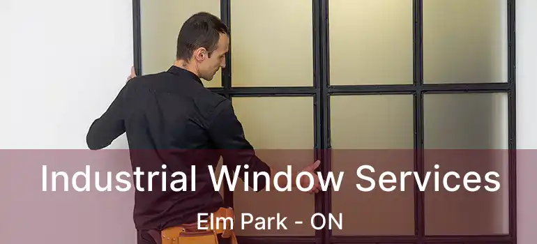  Industrial Window Services Elm Park - ON