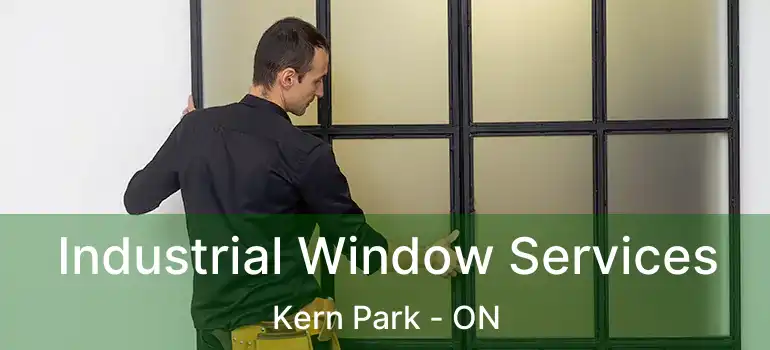  Industrial Window Services Kern Park - ON