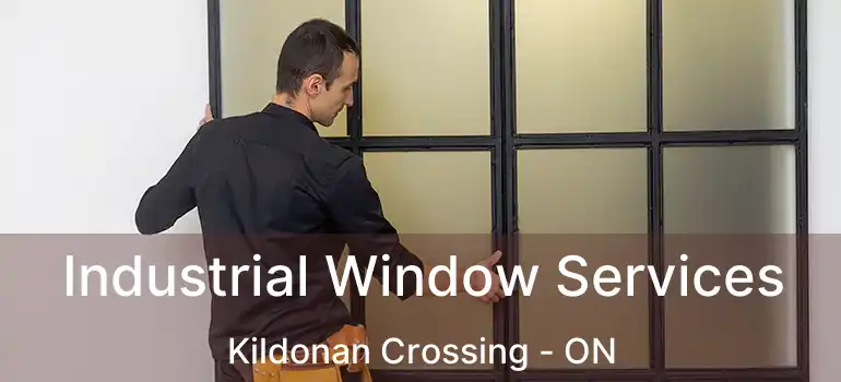  Industrial Window Services Kildonan Crossing - ON