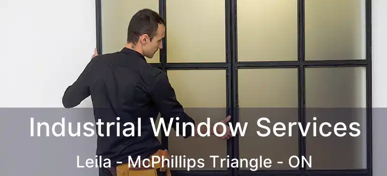  Industrial Window Services Leila - McPhillips Triangle - ON