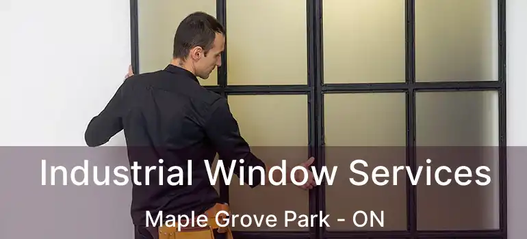  Industrial Window Services Maple Grove Park - ON