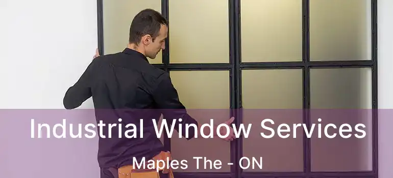  Industrial Window Services Maples The - ON