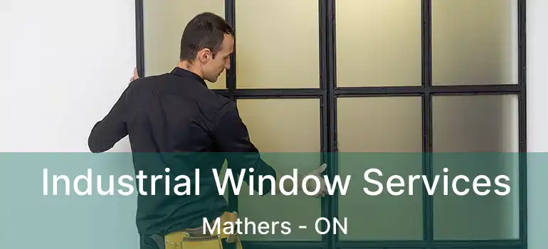  Industrial Window Services Mathers - ON
