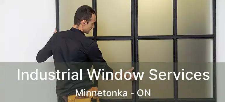  Industrial Window Services Minnetonka - ON