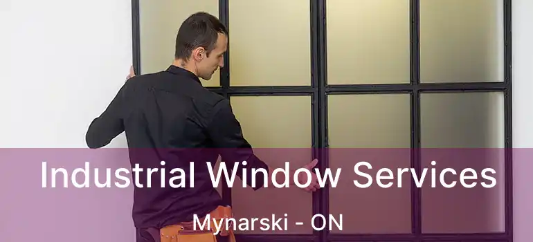  Industrial Window Services Mynarski - ON