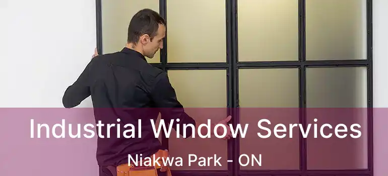  Industrial Window Services Niakwa Park - ON