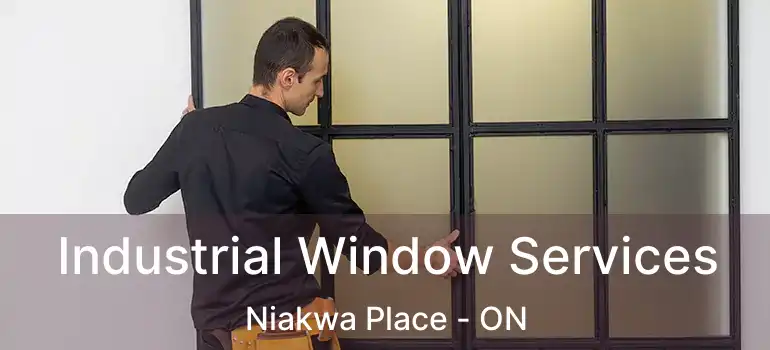  Industrial Window Services Niakwa Place - ON