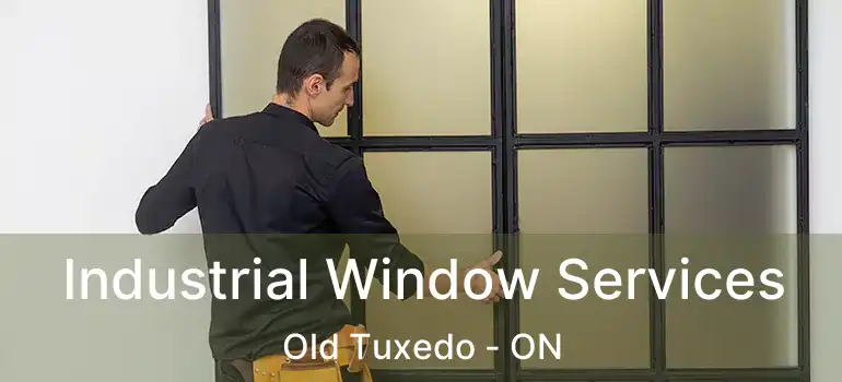  Industrial Window Services Old Tuxedo - ON