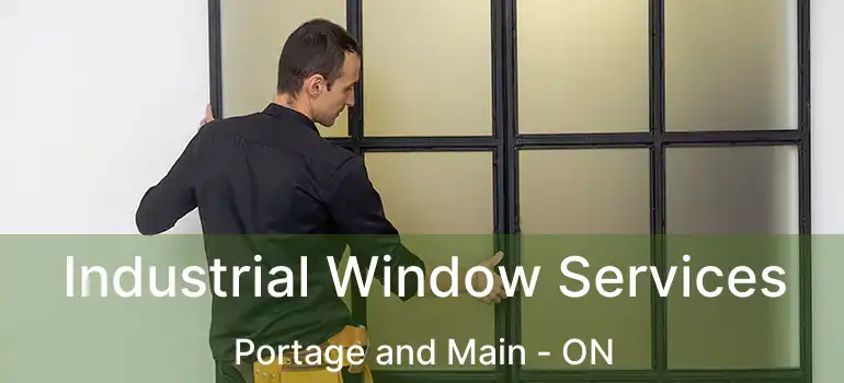  Industrial Window Services Portage and Main - ON