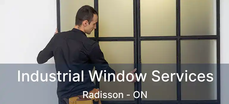  Industrial Window Services Radisson - ON