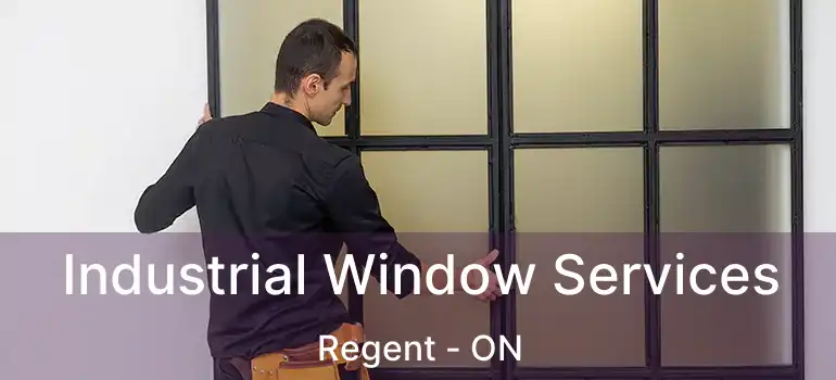  Industrial Window Services Regent - ON