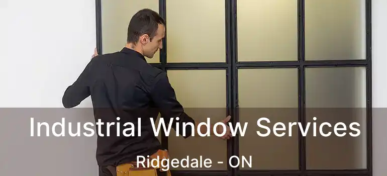  Industrial Window Services Ridgedale - ON